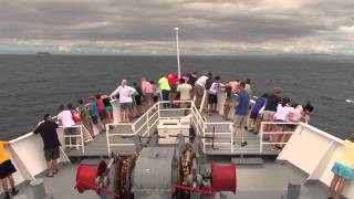 Dolphins Bow Riding National Geographic Endeavour [upl. by Nagaem37]