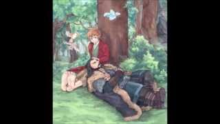 The Hobbit Bagginshield  Fanart MV [upl. by Anih723]