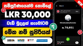 සම්පුර්ණයෙන්ම නොමිලේ රු30000  How To Earn Money Sinhala  E Money Sinhala  E Money Online Jobs [upl. by Civ]