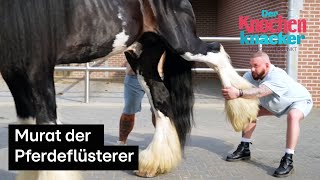 Murats größter Patient 🐴 Der Knochenknacker  Tierisch verrenkt [upl. by Odnalo]