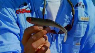 Zman Fishing Swim Bait [upl. by Meijer]