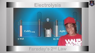 Faraday’s Second Law of Electrolysis  Chemistry Tutorial [upl. by Alrzc]