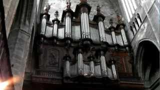 Orgue de la cathédrale SaintJust et SaintPasteur de Narbonne [upl. by Atem502]