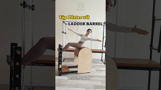 Tại sao bạn nên tập Pilates với máy Ladder Barrel trending tappilates paragate pilates [upl. by Lennon]