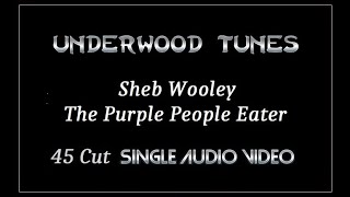 Sheb Wooley  The Purple People Eater  1958  Single Audio Video [upl. by Juno]