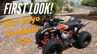 First Look 2021 Kayo Predator 125 Sport Quad  Review and Detailed Breakdown [upl. by Kokaras]