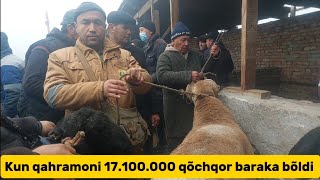 Beshariq qõy bozori bugungi narhlar bilan tanishing 17112024yil [upl. by Ateinotna]