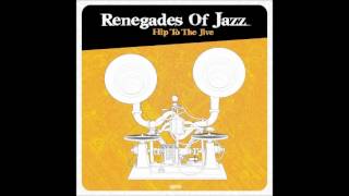 Renegades of Jazz  Black milk [upl. by Hodosh]