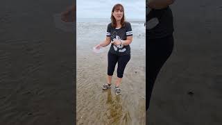 GCSE Geography coastal fieldwork Sediment collection 1 [upl. by Delle]