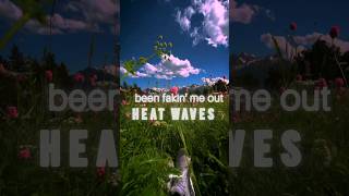 heatwave by GlassAnimals [upl. by Mckeon851]