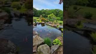 Why You Need a Wetland Filtration System for Your Koi Pond [upl. by Tat]