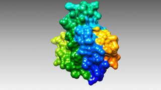 Introduction to Hemoglobin and Myoglobin [upl. by Eelessej]