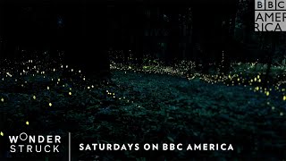 Wonderstruck  Saturdays  BBC America [upl. by Kirk256]