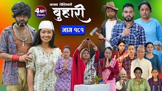 बुहारी भाग  १८१  BUHARI Episode 181  कथा चेलीकाे  Nepali Sentimental Serial  21st June 2024 [upl. by Atisor]