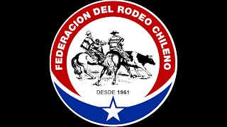 Movimiento a l Rienda  Asociación rodeos de cauquenes [upl. by Barbour]