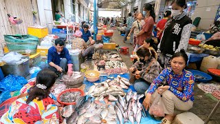 Cambodian Traditional Wet Food Market  Daily People Activities amp Massive Fresh Food [upl. by Aneelehs]