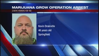 117 lbs of pot 10K in cash seized from Springfield home [upl. by Eerazed801]