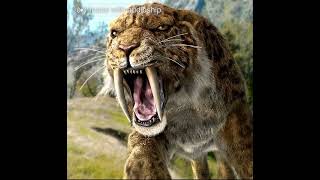 Smilodon sound effects [upl. by Aromat]