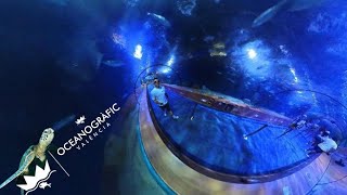 🪼🦑Oceanografic🐙🦈 LOS MISTERIOS DEL MAR  València Diversión Y Aventura En 360 [upl. by Antrim]