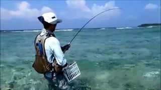 Saltwater fly fishing with double hand rod [upl. by Iggie]