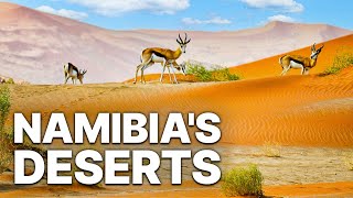 Namibias Giant Deserts  Nature Documentary [upl. by Varuag]