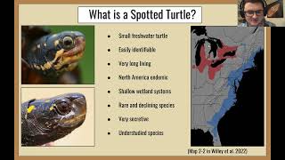 The Secrets of Spotted Turtles [upl. by Ila966]