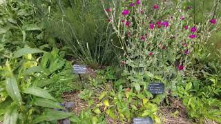 Herb Garden  Queens Botanical Garden NYC [upl. by Mmada364]