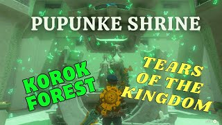 PUPUNKE SHRINE KOROK FORESTRAURUS BLESSING TEARS OF THE KINGDOM TUTORIAL [upl. by Corri719]