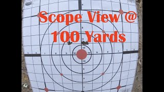 Scope view at 100 yards with Vortex Razor HD Gen II 318x Part 1 [upl. by Ahtennek]