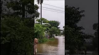 Indrayani River Flow over bridge  heavy Flow over Alandi Bridge  shorts [upl. by Ihsorih]