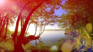 3 HEURES Peaceful Matin Relaxing Piano Music with Nature Sound [upl. by Sherry716]