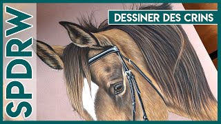 Speed drawing crins de cheval au pastel sec [upl. by Norud]