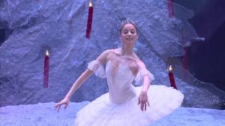 Pyotr Ilyich Tchaikovsky  Anna Nikulina  Dance of the Sugar Plum Fairy  2014 [upl. by Llerahc145]