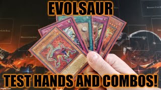 HOW TO PLAY AN EVOLSAUR DECK TEST HANDS AND COMBOS JANUARY 2022 YUGIOH [upl. by Nivak]