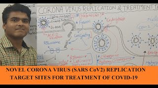 Corona Virus Replication Corona Virus LIFE CYCLE  COVID19 Treatment SARS Cov2 Therapeutic Target [upl. by Arihsay612]