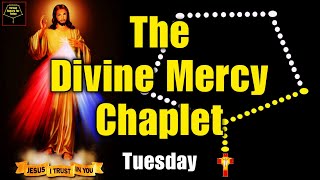 Divine Mercy Chaplet For Today NOVEMBER 24 2024  The Chaplet of Divine Mercy [upl. by Brittney]