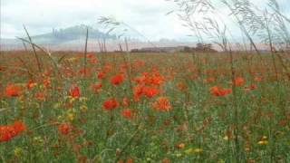 In Flanders Fields [upl. by Giustino]