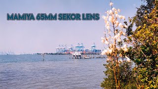 Testing out the 65mm f45 Sekor lens for the Mamiya RB67 [upl. by Elane]