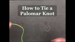 How to Tie a Palomar Knot [upl. by Culhert168]