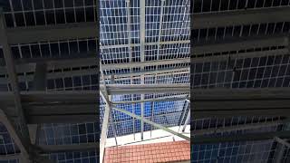 Solar Panels for Solar Canopies amp Awning Systems [upl. by Nosnirb]