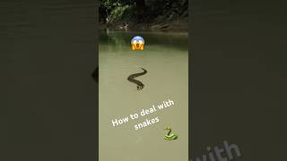 If you see this snake DONT PANIC 🐍  viral viralvideo shorts extreme snakes [upl. by Dubenko]