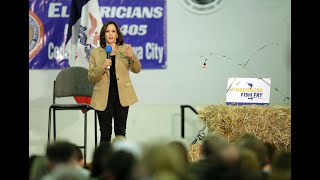 Harris’ Late Iowa Surge Raises Questions if Polls Are Undercounting Harris [upl. by Nawj]