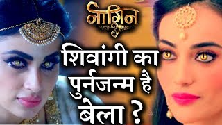 Is There any SECRET Connection Between Bela amp Shivangi in NAAGIN 3 [upl. by Azaleah]