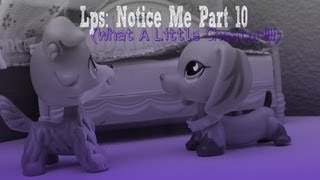 Lps Notice Me Episode 10 What A Little Cheater [upl. by Neema]