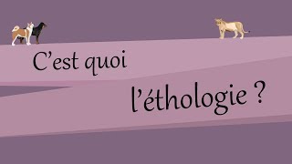 Cest quoi léthologie [upl. by Animsay]