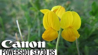 Canon Powershot SX730 HS VideoPhoto Test [upl. by Retsel]