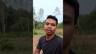 Moder Nesha  New Purulia Song Status shorts shortvideo youtubeshorts newsongpurulia trending [upl. by Fulbert]