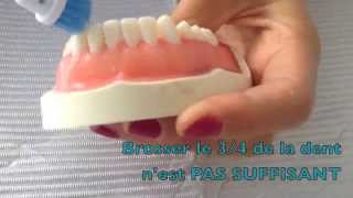 Technique de brossage des dents avec brosse  à dent électrique – Dr Rania Azzi Parodontiste [upl. by Beverlee700]