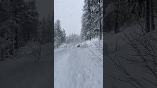 Riding haines ak snowmobileskidoopolarisridingpowdersnowingalaska [upl. by Yojenitsirk]