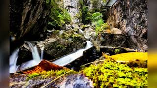 So sieht es in der Pöllatschlucht in Schwangau aktuell aus [upl. by Eremaj]